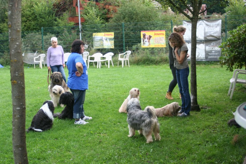 ../Images/Bild 031.jpg